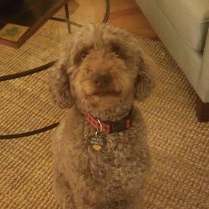 Meet your Posher, Marybeth